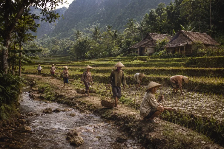 Jejak Kehidupan Masyarakat Selasari Tempo Dulu